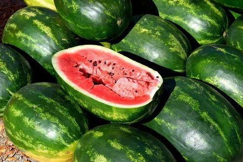 韩城吃瓜真相视频大全下载,视频大全下载全解析