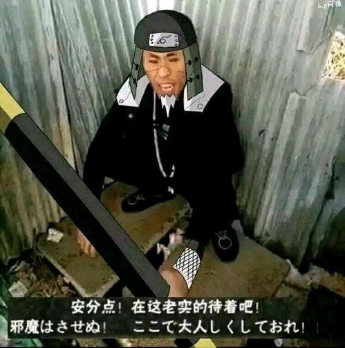 帝师吃瓜视频全集,揭秘娱乐圈幕后真相