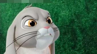 赛高兔视频吃瓜,带你领略娱乐圈幕后风云