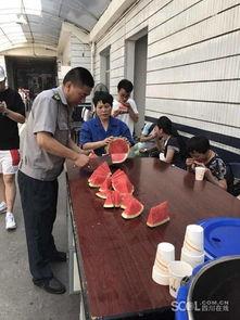 成华区吃瓜视频,揭秘社区生活百态