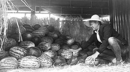 缅北边境吃瓜群众视频,边境生活百态