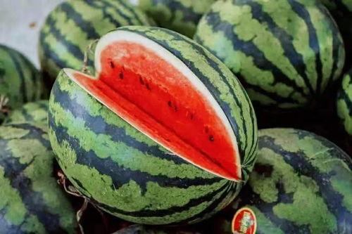 最近的吃瓜视频哪里看到,最新吃瓜视频幕后真相大曝光！