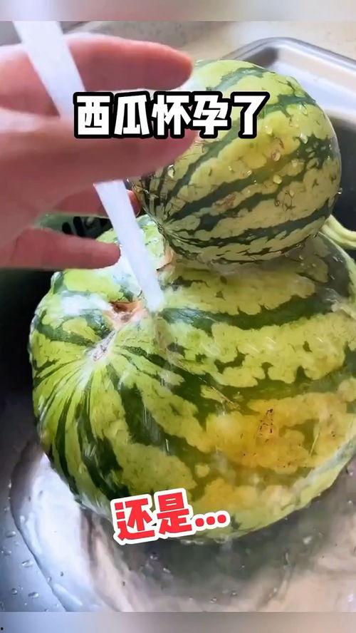 蛋仔吃瓜搞笑配音视频大全,爆笑来袭！蛋仔吃瓜配音视频大盘点