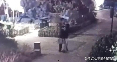 盐山吃瓜事件真相视频全集,真相视频全集深度解析